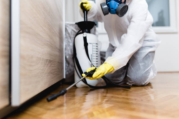 Best Bed Bug Extermination  in West Canton, NC