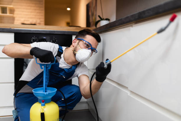 Best Commercial Pest Control Services  in West Canton, NC