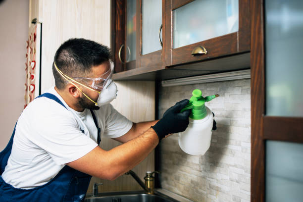 Best Flea Control Services  in West Canton, NC