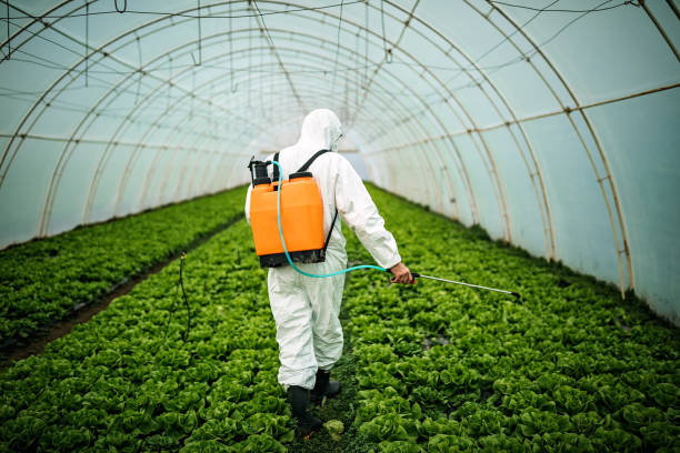 Pest Control Cost in West Canton, NC