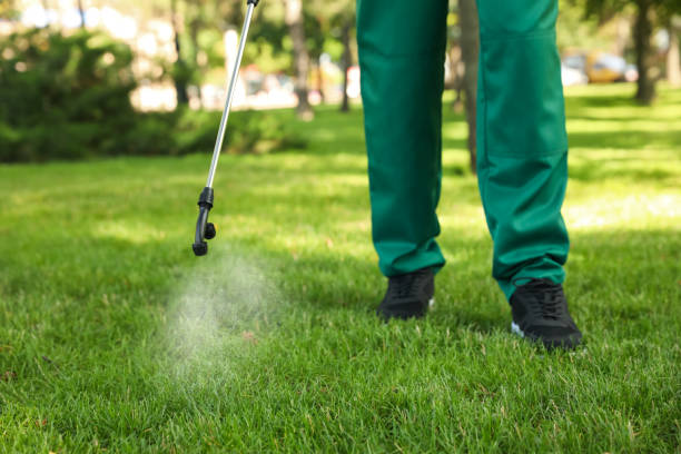 Best Exterminator Services  in West Canton, NC