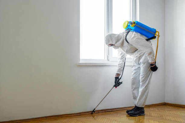 Best Affordable Pest Control Services  in West Canton, NC