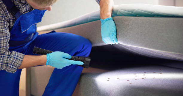Best Pest Control Near Me  in West Canton, NC