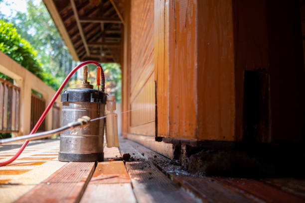 Best Mosquito Control Services  in West Canton, NC