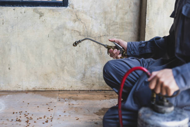 Best Pest Prevention Services  in West Canton, NC